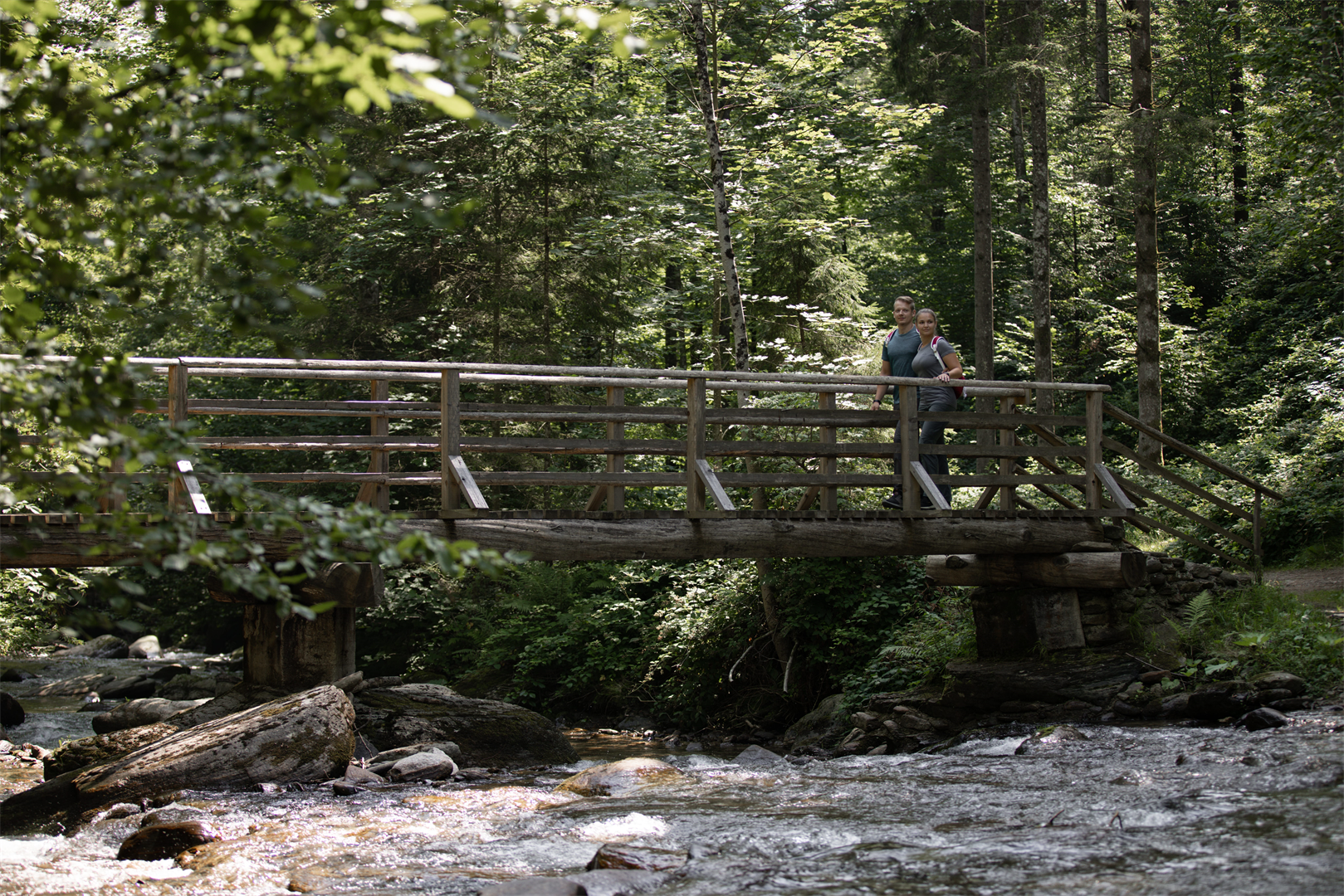 Ein Brücke im Wald